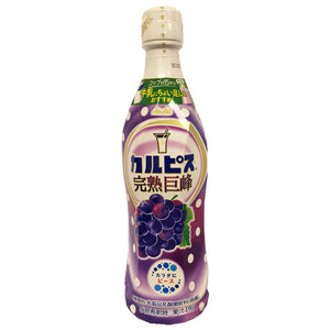Asahi Calpis Concentrate Kyoho Grapes 470ml ~ 日本濃縮可尔必思巨峰葡萄味 470ml