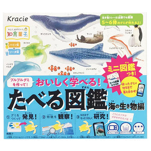 Kracie Sea Creatures Making Kit Candies 65g ~ 食玩知育果子揉捏軟糖海底生物 65g