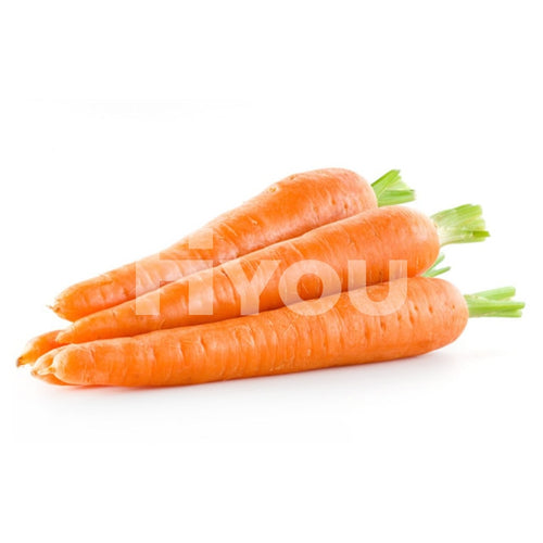 Fresh Carrot 500G ~ Vegetable