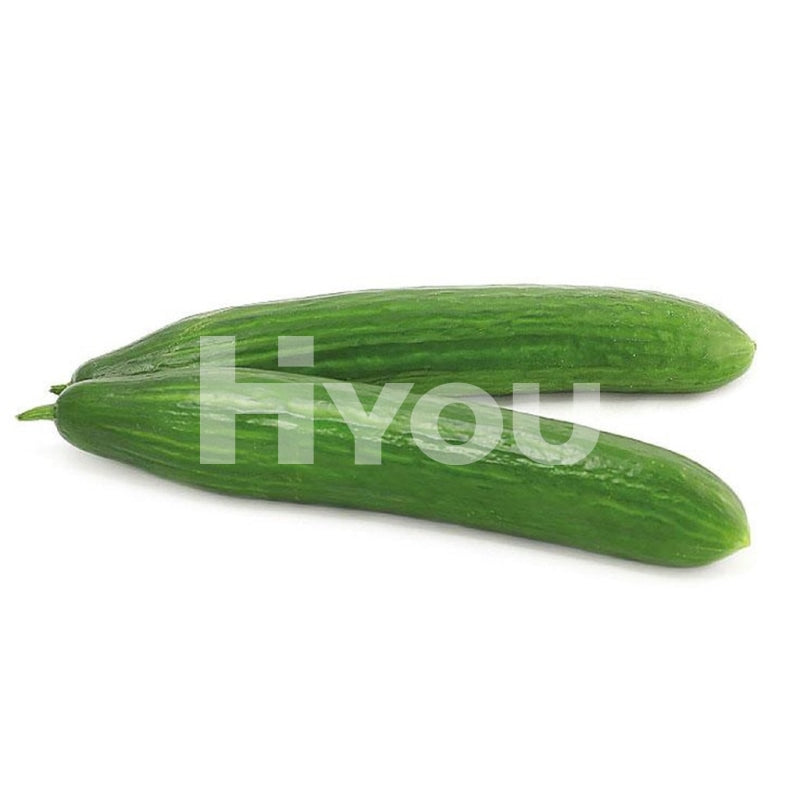 Fresh Cucumber (Pc) ~ () Vegetable