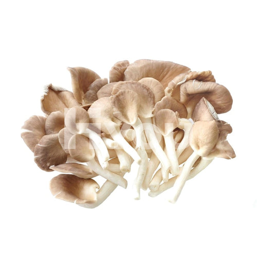 Fresh Oyster Mushroom 350G ~ Vegetable