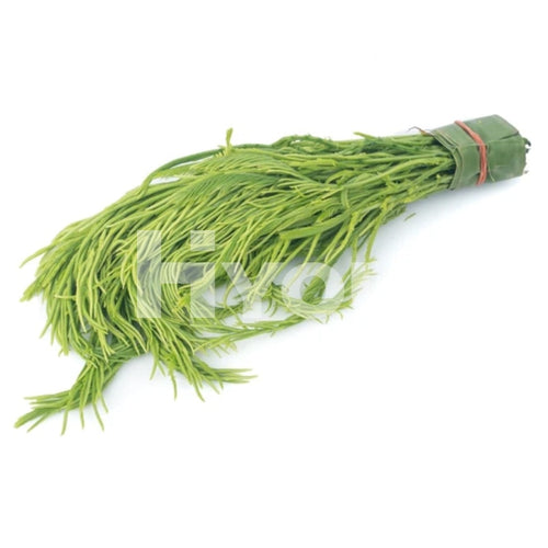 Fresh Thai Acacia 100G ~ Vegetable