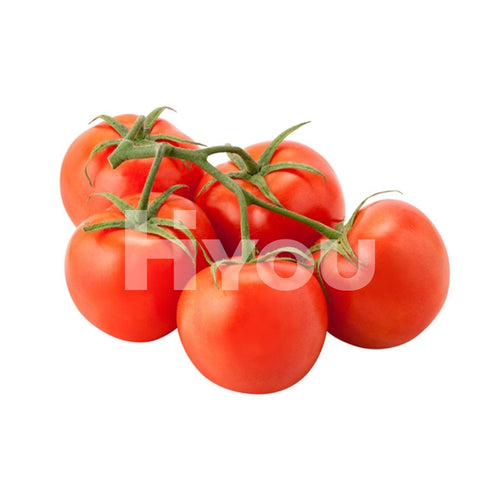 Fresh Vine Tomato 1Kg ~ Vegetable