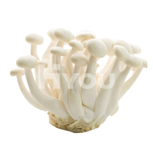 Fresh White Bunashimeji Mushroom (Pack) ~ () Vegetable